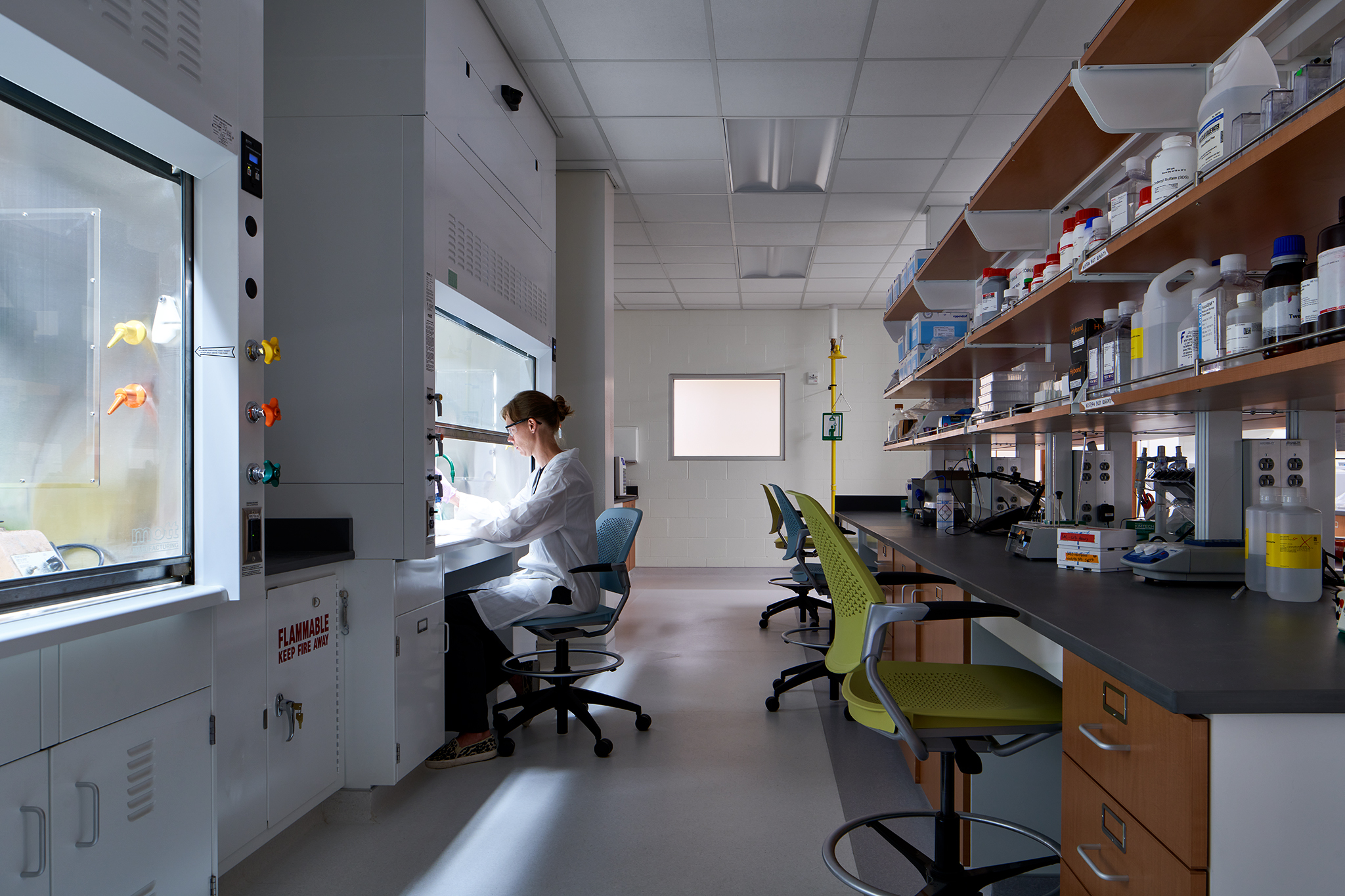 Laboratory in the Freer Hall building.