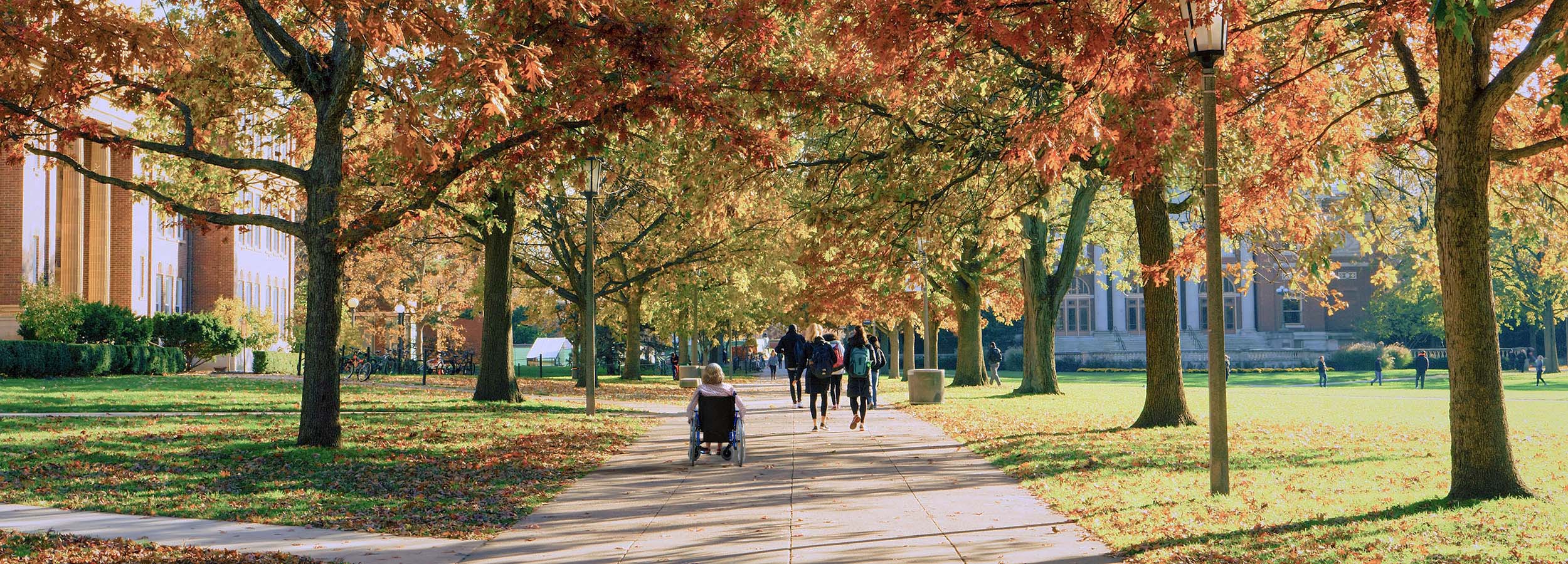 Campus courtyard pathway with students, including a person in a wheelchair.